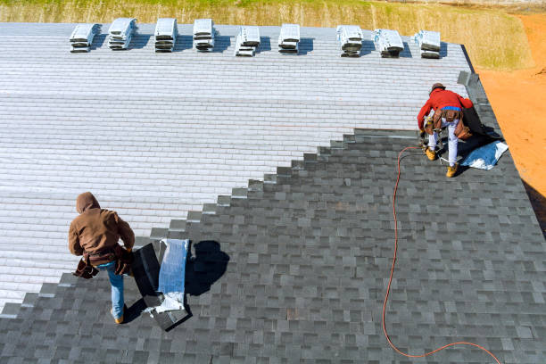 Best Metal Roofing Installation  in Coal Grove, OH