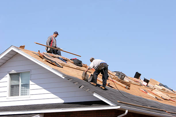 Best Emergency Roof Repair  in Coal Grove, OH