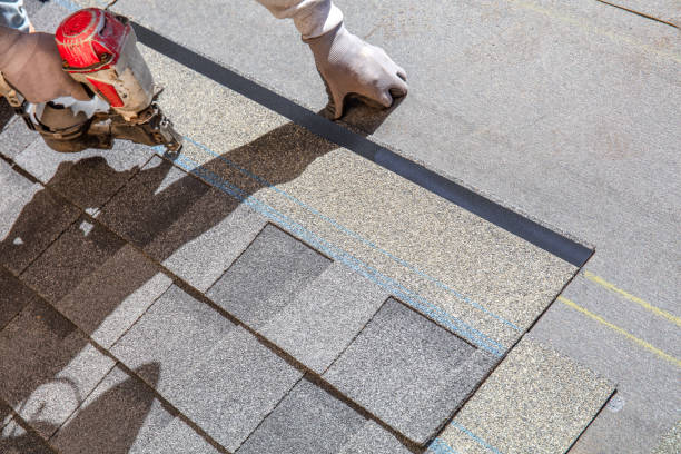 Best Roof Maintenance and Cleaning  in Coal Grove, OH